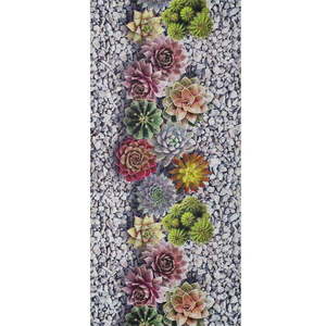 Chodnik Universal Sprinty Cactus, 52x200 cm obraz