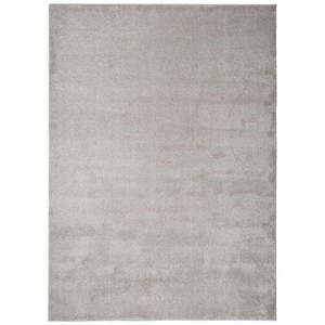 Jasznoszary dzary dywan Universal Montana, 60x120 cm obraz