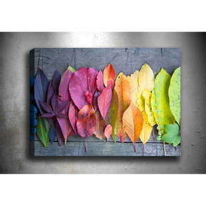 Obraz Tablo Center Autumn Palette, 100x70 cm obraz