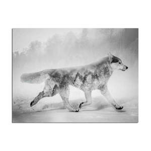 Obraz Styler Canvas Nordic Wolf, 75x100 cm obraz