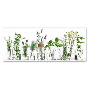 Obraz Styler Glasspik Herbs, 30x80 cm obraz