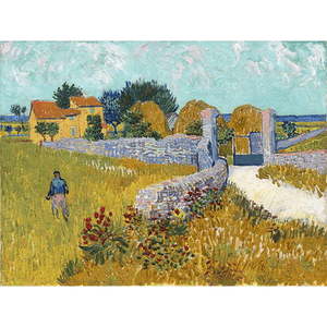 Reprodukcja obrazu Vincenta van Gogha – Farmhouse in Provence, 40x30 cm obraz