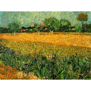 Reprodukcja obrazu Vincenta van Gogha – View of arles with irises in the foreground, 40x30 cm obraz