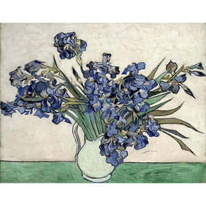 Reprodukcja obrazu Vincenta van Gogha – Irises 2, 40x26 cm obraz