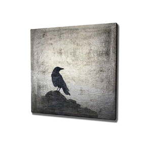 Obraz na płótnie Black Bird, 45x45 cm obraz