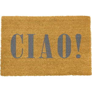 Wycieraczka Artsy Doormats Ciao Grey, 40x60 cm obraz