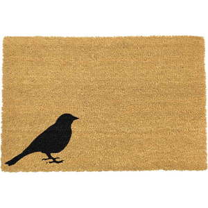 Wycieraczka Artsy Doormats Bird, 40x60 cm obraz
