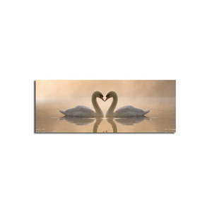 Obraz na płótnie Swan Love, 90x30 cm obraz