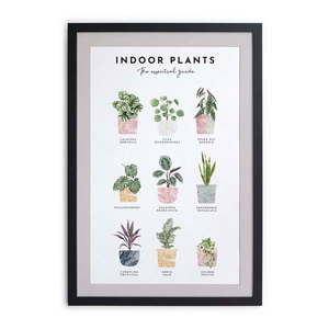 Obraz w ramie Really Nice Things Indoor Plants, 30x40 cm obraz