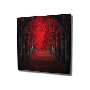 Obraz na płótnie Red Trees, 45x45 cm obraz