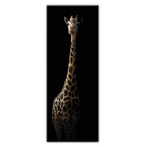 Obraz Styler Glas Animals Gira, 50x125 cm obraz