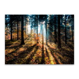 Obraz Styler Glasspik Autumn Sunset, 70x100 cm obraz