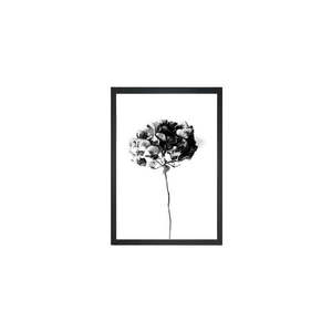 Plakat 24x29 cm Velvet Flower – Tablo Center obraz
