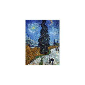 Reprodukcja obrazu Vincenta van Gogha Country Road in Provence by Night – Fedkolor, 45c60 cm obraz