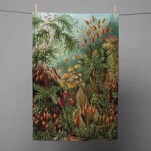 Ścierka kuchenna Madre Selva Deep Forest, 70x50 cm obraz