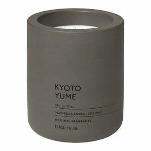 Zapachowa sojowa świeca czas palenia 55 h Fraga: Kyoto Yume – Blomus obraz