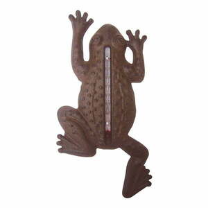 Żeliwny termometr ścienny Esschert Design Frog obraz