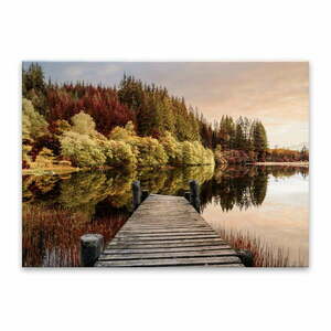Szklany obraz Styler Autumn Path, 80x120 cm obraz