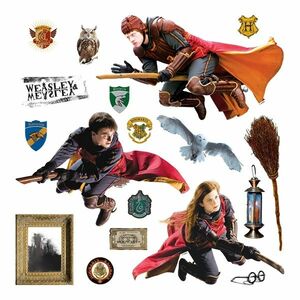 Dekoracja samoprzylepna Harry Potter Quidditch, 30 x 30 cm obraz
