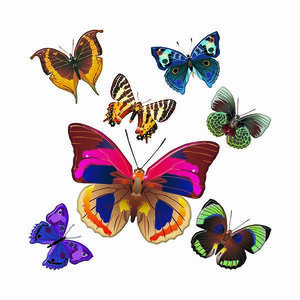 Dekoracja samoprzylepna Butterflies, 30 x 30 cm obraz
