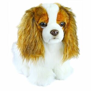 Rappa Pluszowy pies spaniel King Charles, 25 cm obraz