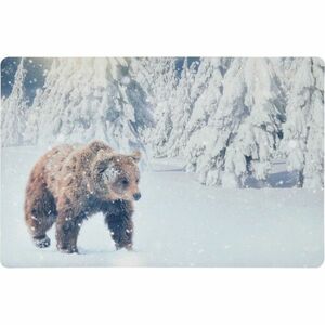 Wycieraczka Niedźwiedź, 38 x 58 cm obraz
