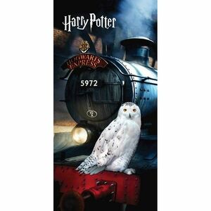 Ręcznik kąpielowy Harry Potter "Hedwig", 70 x 140 cm obraz