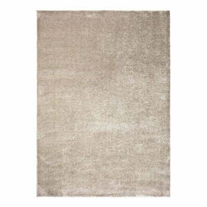 Szary/beżowy dywan 80x150 cm – Universal obraz