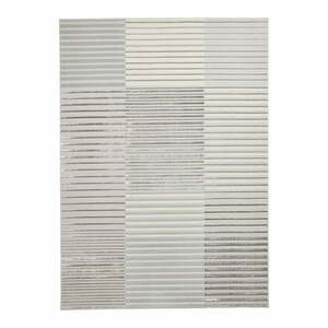 Jasnoszaro-kremowy dywan 80x150 cm Apollo – Think Rugs obraz