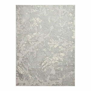 Szaro-bezowy dywan 220x160 cm Apollo – Think Rugs obraz