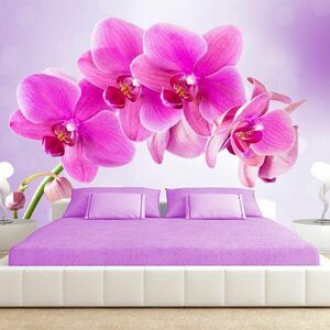 Tapeta samoprzylepna różowa orchidea - Zamyślenie obraz