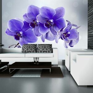 Tapeta samoprzylepna fioletowa orchidea - Godzina rozstania obraz