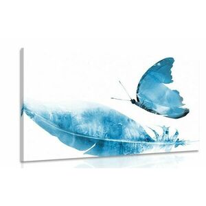 Obraz piórko z motylem w kolorze niebieskim obraz