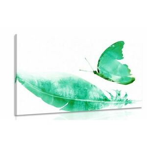Obraz piórko z motylem w kolorze zielonym obraz