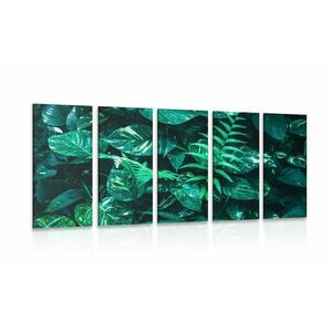 5-częściowy obraz bujne tropikalne liście obraz