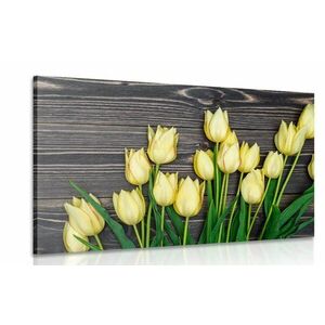Obraz urocze żółte tulipany na drewnianym tle obraz