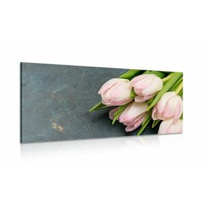 Obraz pastelowe różowe tulipany obraz