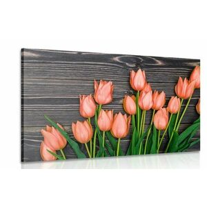 Obraz urocze pomarańczowe tulipany na drewnianym tle obraz