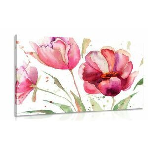 Obraz piękne tulipany w ciekawej aranżacji obraz