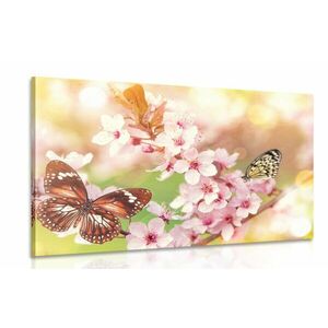 Obraz wiosenne kwiaty z egzotycznymi motylami obraz