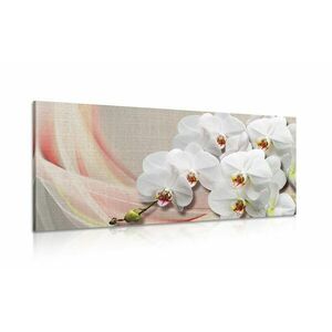 Obraz biała orchidea na płótnie obraz