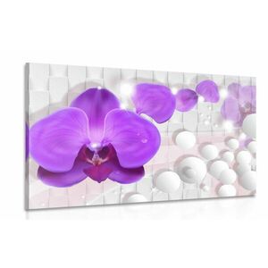 Obraz orchidea na abstrakcyjnym tle obraz