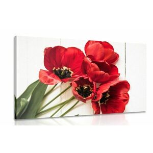 Obraz kwitnące czerwone tulipany obraz