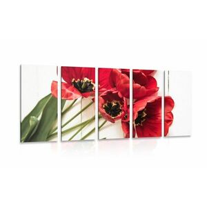 5-częściowy obraz kwitnące czerwone tulipany obraz