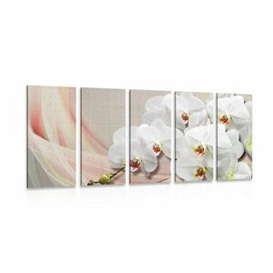 5-częściowy obraz biała orchidea na płótnie obraz