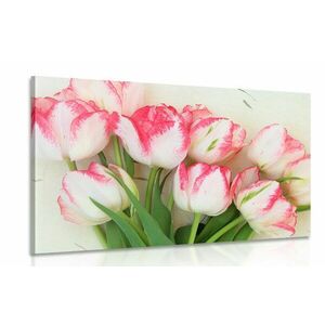 Obraz tulipany wiosenne obraz