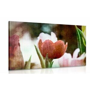Obraz tulipanowa łąka w stylu retro obraz