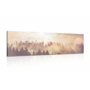 Obraz mgła nad lasem obraz