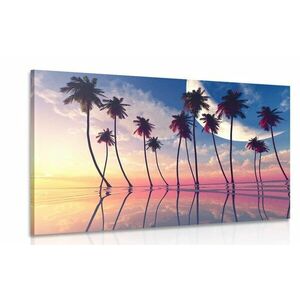 Obraz zachód słońca nad tropikalnymi palmami obraz