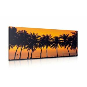 Obraz zachód słońca nad palmami obraz